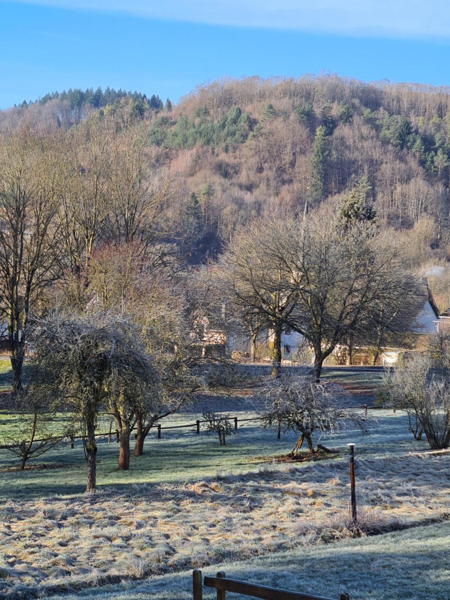 Ferienwohnung Burgblick Pelm Eksteriør billede